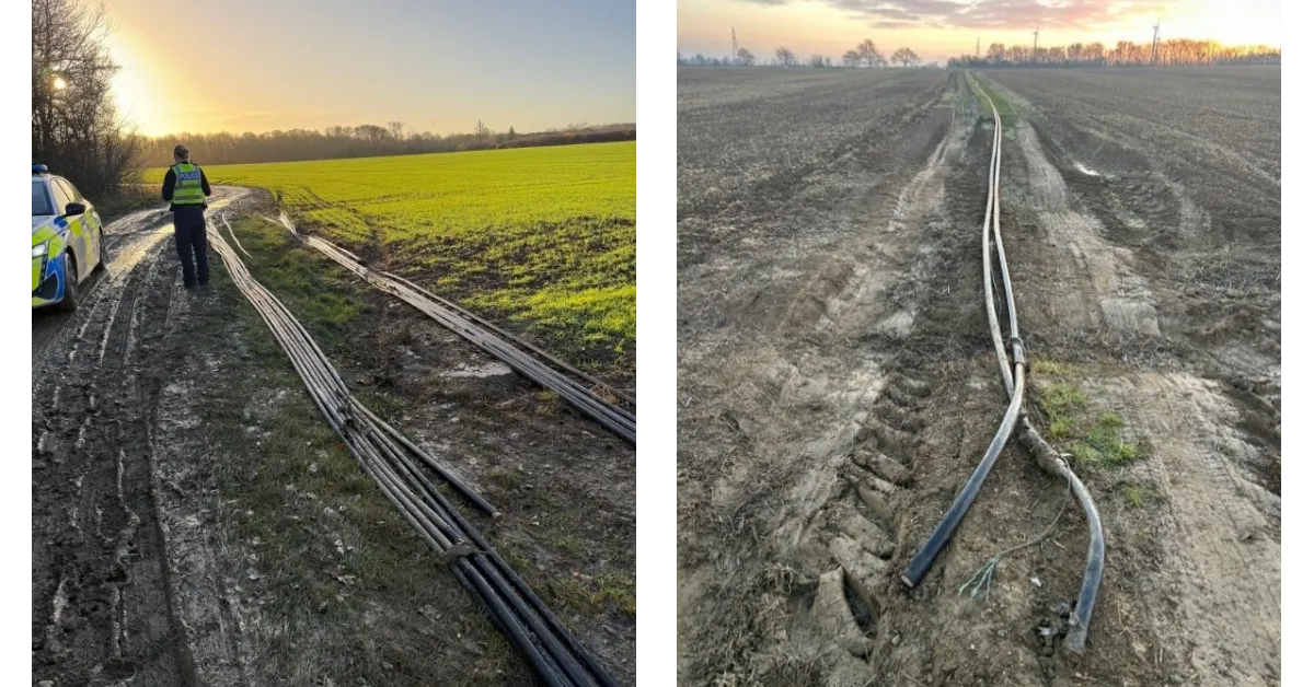 Two images of cables in a field. The first image shows cables on a muddy path next to a police car. The second image shows cables in a ploughed field.