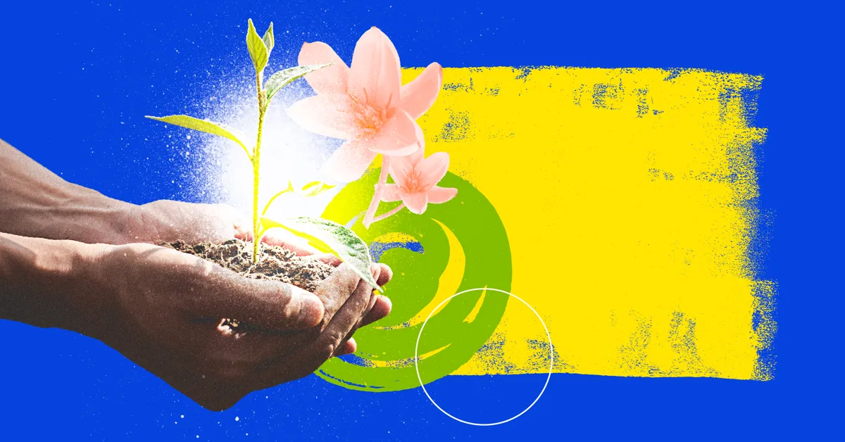 A pair of hands holding a plant in front of a blue and yellow flag.