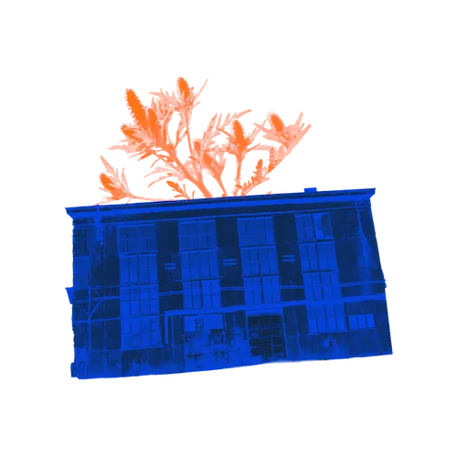 Blue building with orange plant on top.
